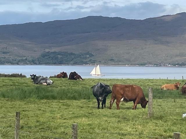 Plockton, Camus Fearn Barn Villa Eksteriør billede